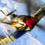 warplanes2.0