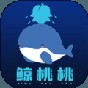 mu復古手游 裝備獲取